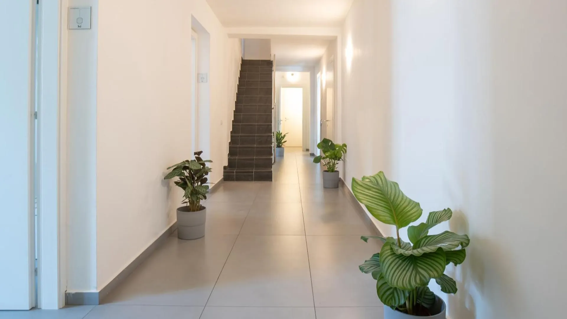 Suite Inn Catania